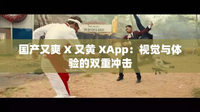 国产又爽 X 又黄 XApp：视觉与体验的双重冲击