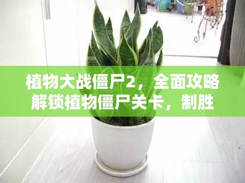 植物大战僵尸2，全面攻略解锁植物僵尸关卡，制胜秘籍大揭秘