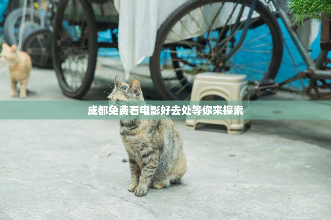 成都免费看电影好去处等你来探索