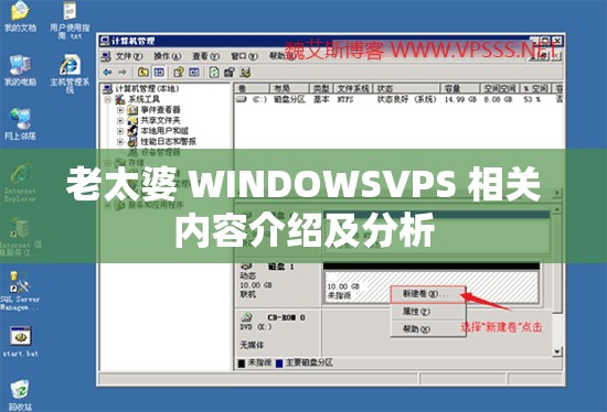 老太婆 WINDOWSVPS 相关内容介绍及分析