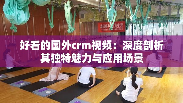 好看的国外crm视频：深度剖析其独特魅力与应用场景