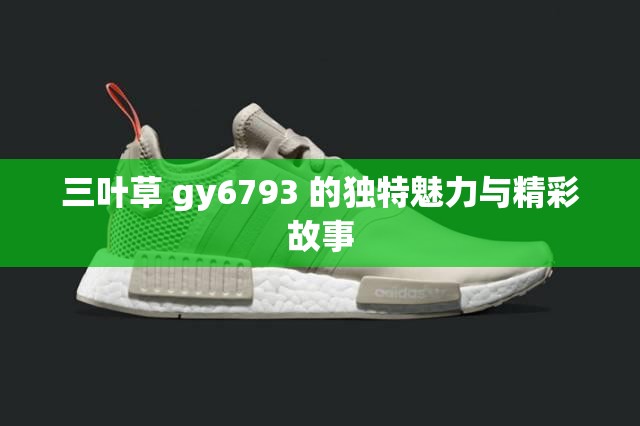 三叶草 gy6793 的独特魅力与精彩故事