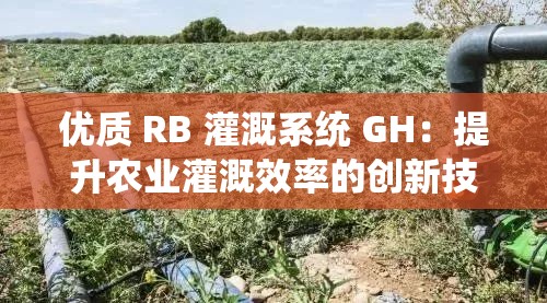 优质 RB 灌溉系统 GH：提升农业灌溉效率的创新技术