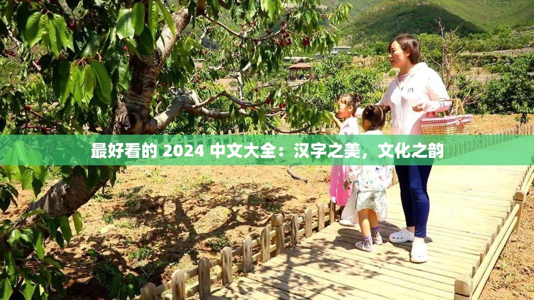 最好看的 2024 中文大全：汉字之美，文化之韵