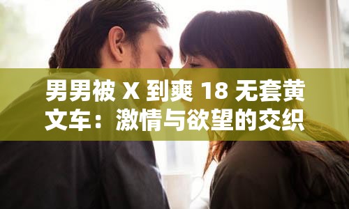 男男被 X 到爽 18 无套黄文车：激情与欲望的交织