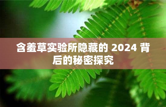 含羞草实验所隐藏的 2024 背后的秘密探究