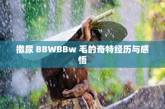 撒尿 BBWBBw 毛的奇特经历与感悟