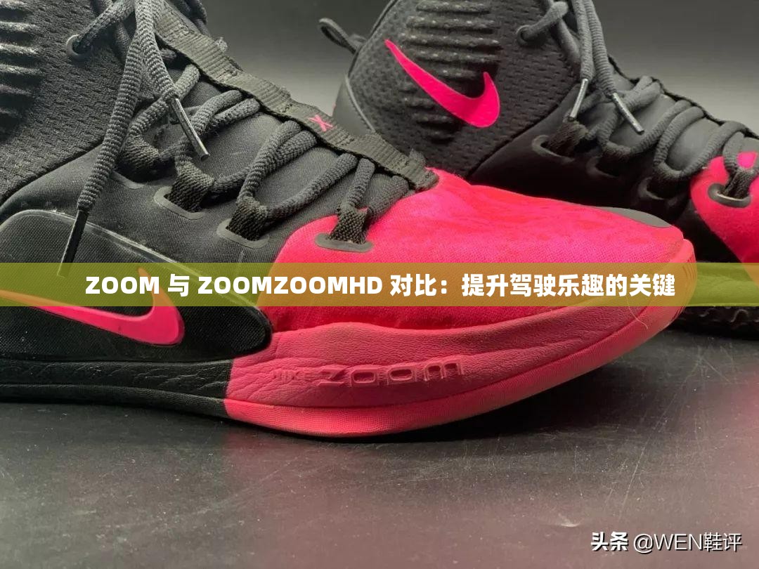 ZOOM 与 ZOOMZOOMHD 对比：提升驾驶乐趣的关键