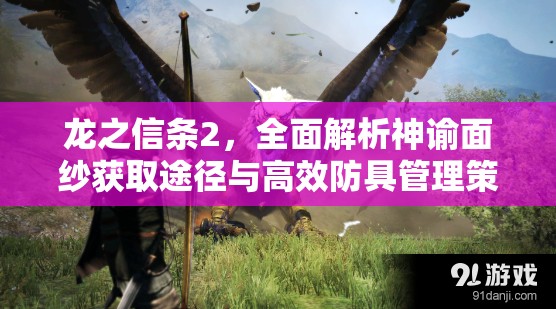 龙之信条2，全面解析神谕面纱获取途径与高效防具管理策略