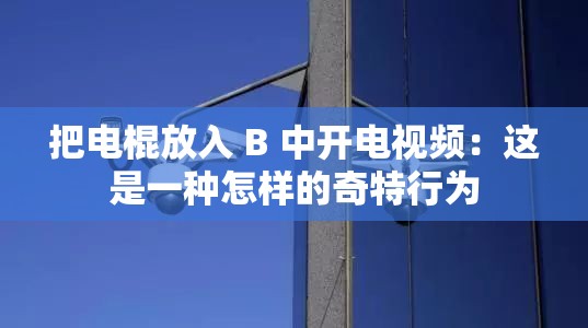 把电棍放入 B 中开电视频：这是一种怎样的奇特行为