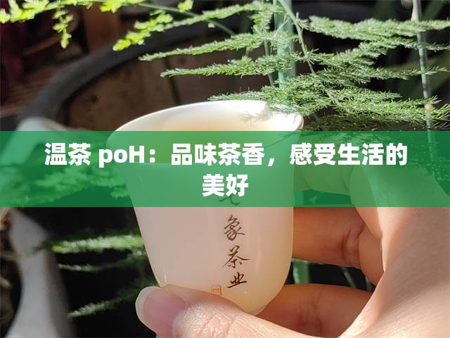 温茶 poH：品味茶香，感受生活的美好