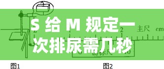 S 给 M 规定一次排尿需几秒钟相关事宜探讨