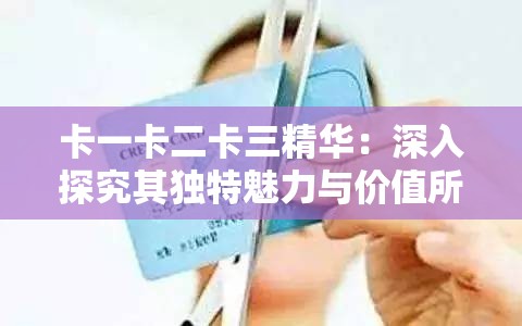 卡一卡二卡三精华：深入探究其独特魅力与价值所在