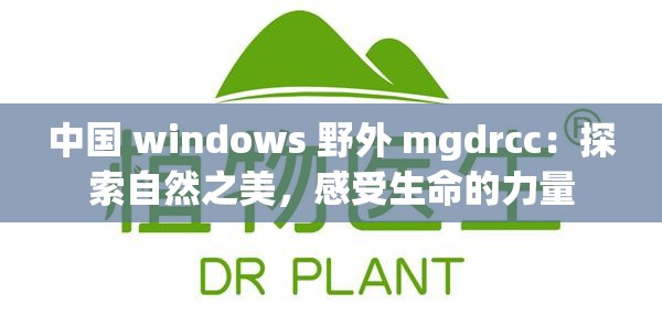 中国 windows 野外 mgdrcc：探索自然之美，感受生命的力量