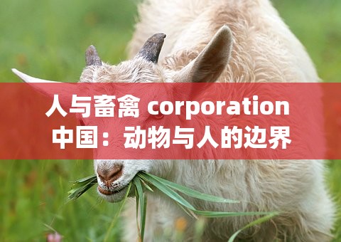 人与畜禽 corporation 中国：动物与人的边界