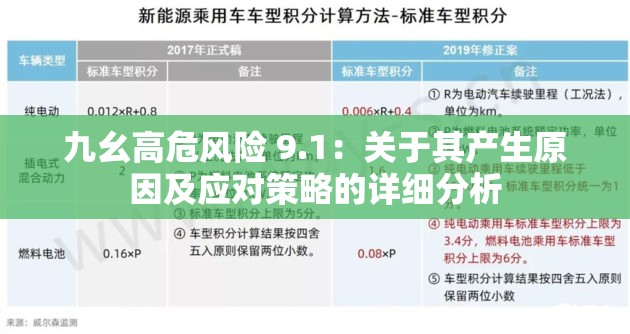 九幺高危风险 9.1：关于其产生原因及应对策略的详细分析