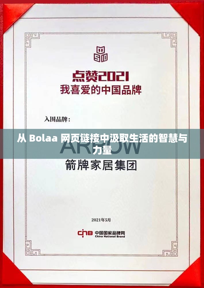 从 Bolaa 网页链接中汲取生活的智慧与力量