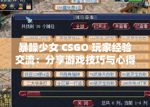 暴躁少女 CSGO 玩家经验交流：分享游戏技巧与心得