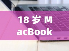 18 岁 MacBook - Pro 与 45 岁：一段跨越年龄的科技与人生故事