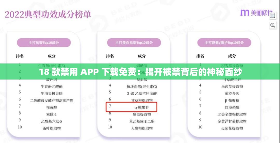 18 款禁用 APP 下载免费：揭开被禁背后的神秘面纱