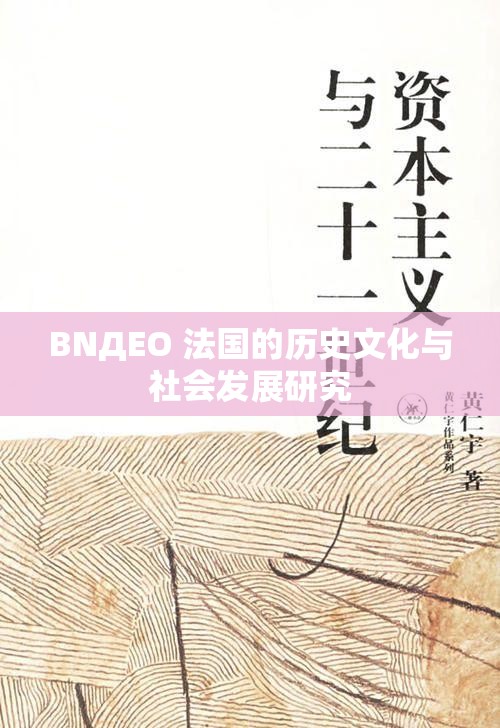 BNДEO 法国的历史文化与社会发展研究