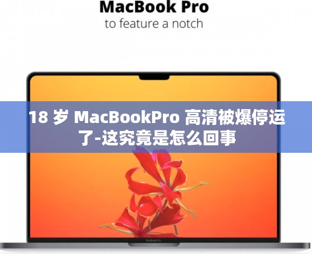 18 岁 MacBookPro 高清被爆停运了-这究竟是怎么回事