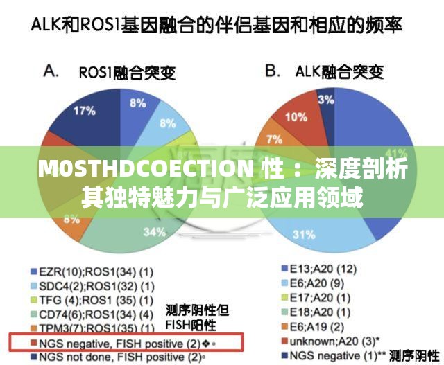 M0STHDCOECTION 性 ：深度剖析其独特魅力与广泛应用领域