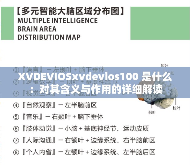 XVDEVIOSxvdevios100 是什么：对其含义与作用的详细解读