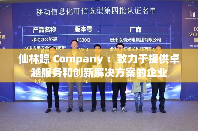 仙林踪 Company ：致力于提供卓越服务和创新解决方案的企业