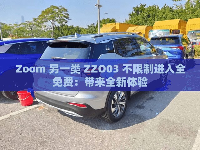 Zoom 另一类 ZZO03 不限制进入全免费：带来全新体验