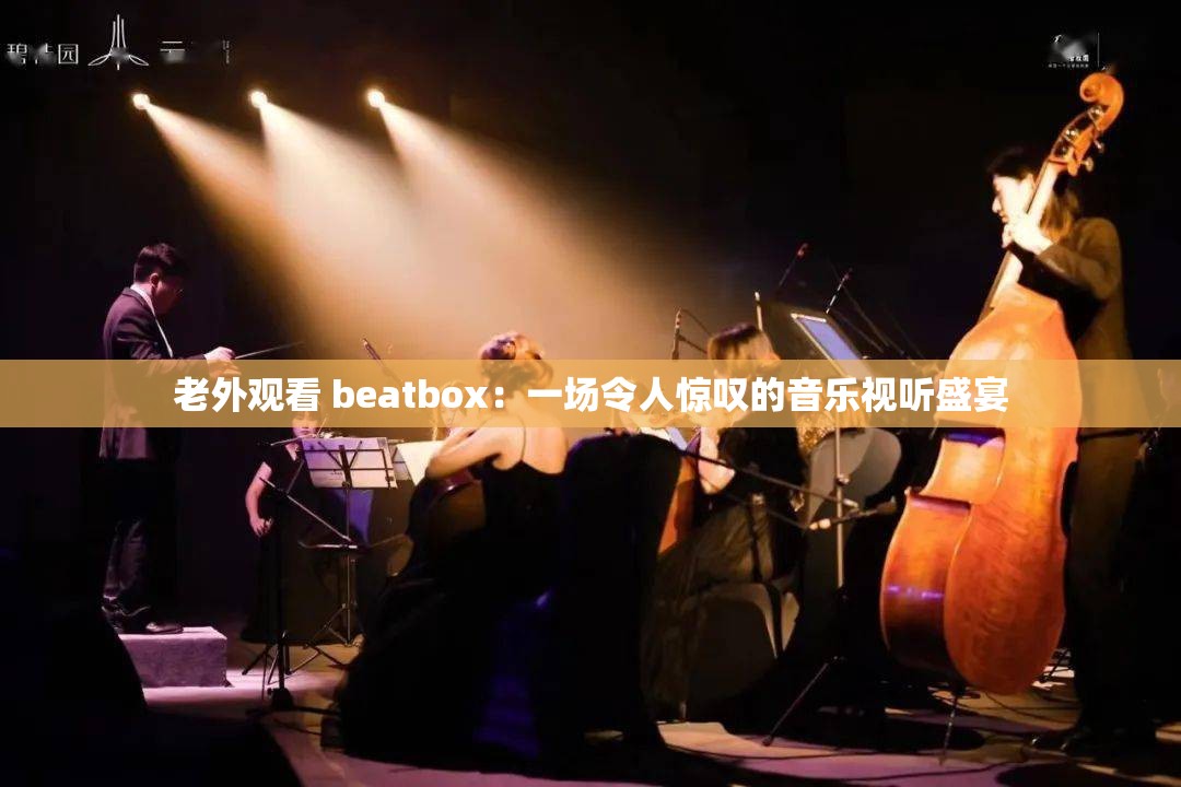 老外观看 beatbox：一场令人惊叹的音乐视听盛宴