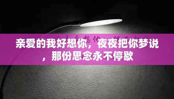 亲爱的我好想你，夜夜把你梦说，那份思念永不停歇