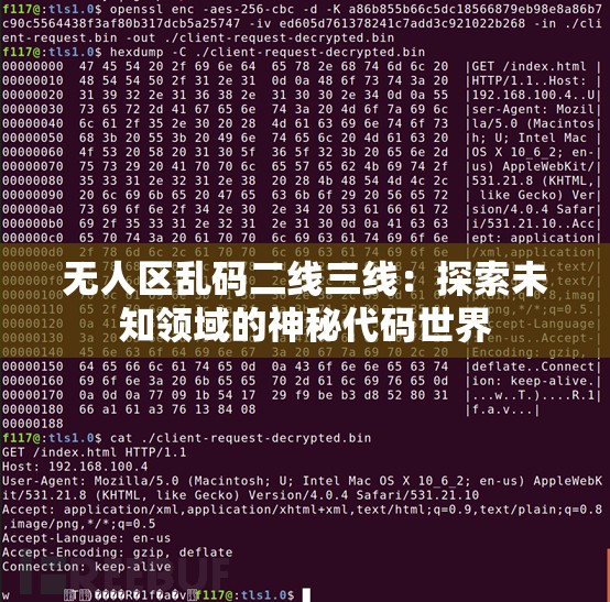 无人区乱码二线三线：探索未知领域的神秘代码世界