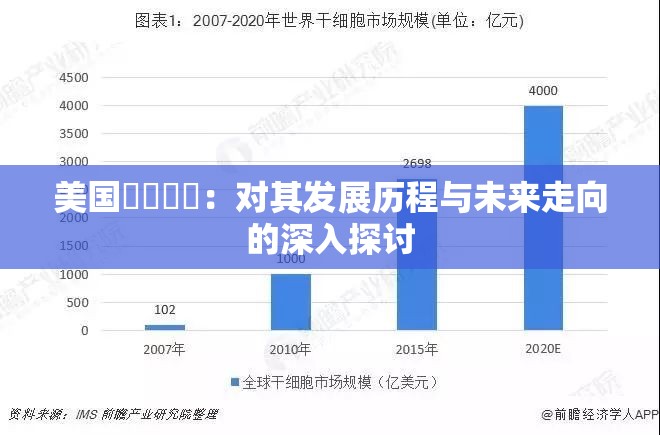 美国乄乄乄乄：对其发展历程与未来走向的深入探讨