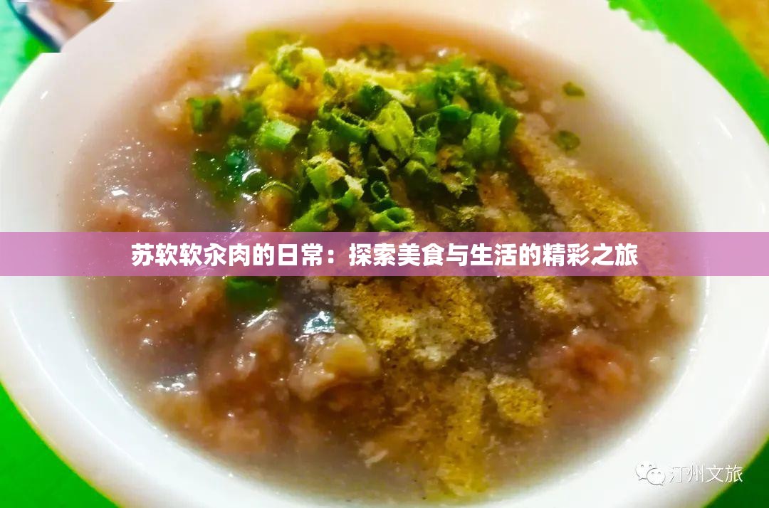 苏软软汆肉的日常：探索美食与生活的精彩之旅