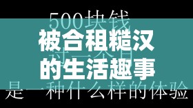 被合租糙汉的生活趣事以及与室友们的日常点滴