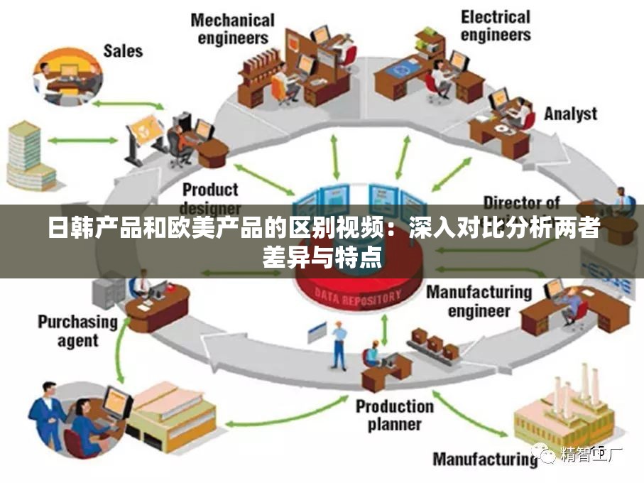 日韩产品和欧美产品的区别视频：深入对比分析两者差异与特点