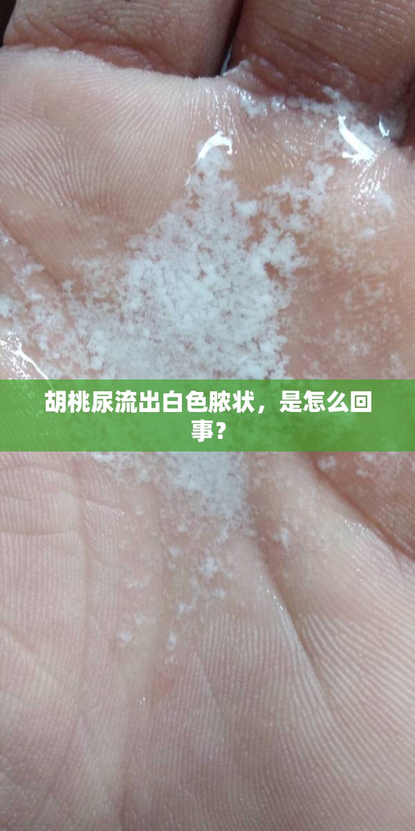 胡桃尿流出白色脓状，是怎么回事？