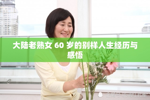 大陆老熟女 60 岁的别样人生经历与感悟