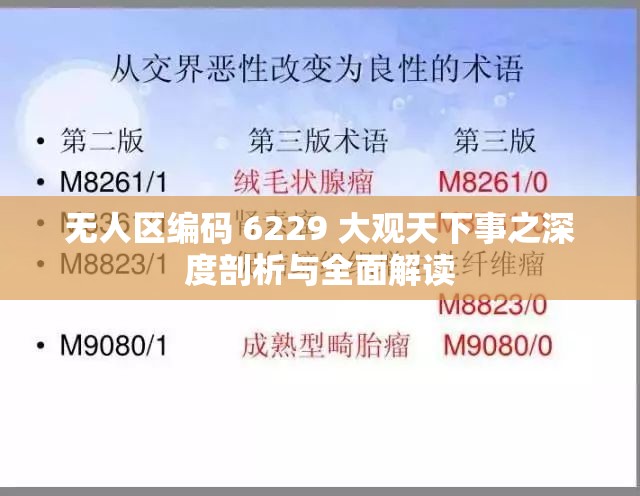 无人区编码 6229 大观天下事之深度剖析与全面解读