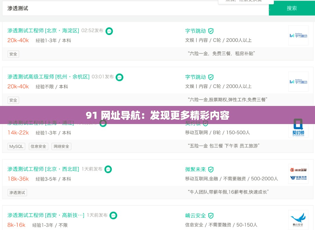 91 网址导航：发现更多精彩内容