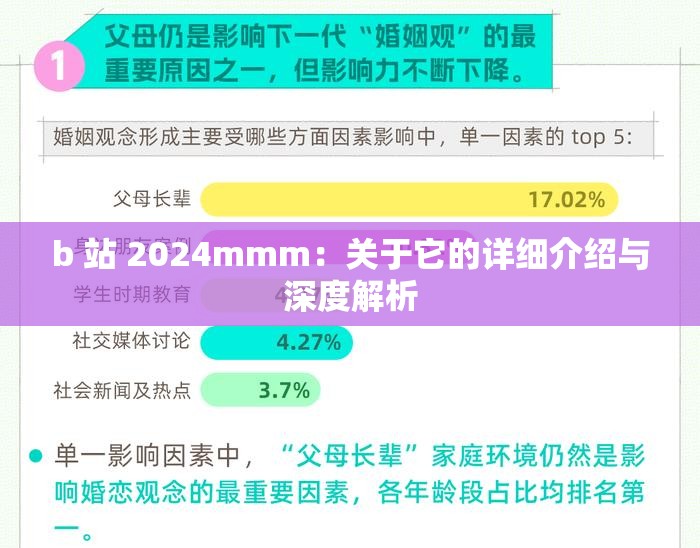 b 站 2024mmm：关于它的详细介绍与深度解析