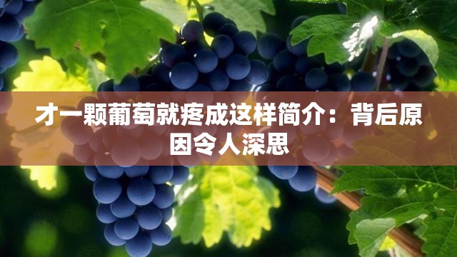 才一颗葡萄就疼成这样简介：背后原因令人深思