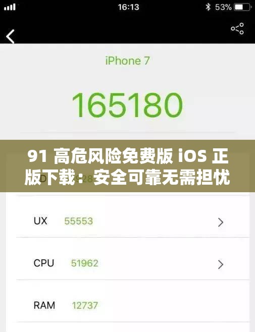 91 高危风险免费版 iOS 正版下载：安全可靠无需担忧