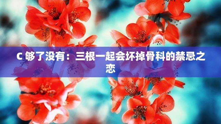 C 够了没有：三根一起会坏掉骨科的禁忌之恋