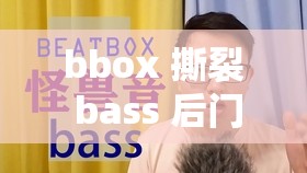 bbox 撕裂 bass 后门：探寻其背后的奥秘与影响