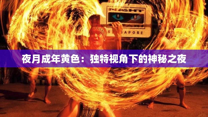 夜月成年黄色：独特视角下的神秘之夜