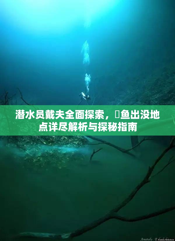 潜水员戴夫全面探索，鮨鱼出没地点详尽解析与探秘指南