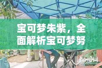 宝可梦朱紫，全面解析宝可梦努力值刷取方法与策略攻略