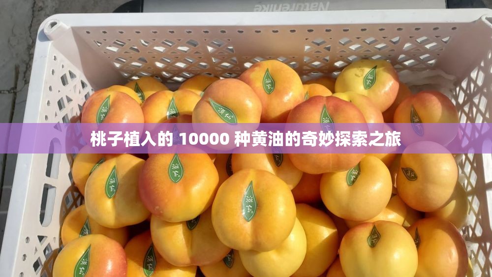 桃子植入的 10000 种黄油的奇妙探索之旅